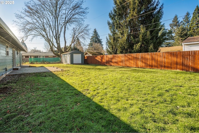 view of yard with a patio area and a storage unit