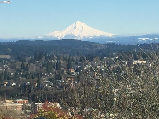 mountain view featuring a view of trees