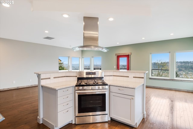 kitchen with gas range, visible vents, island range hood, and wood finished floors