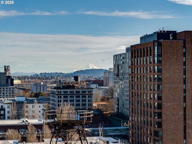 city view with a mountain view