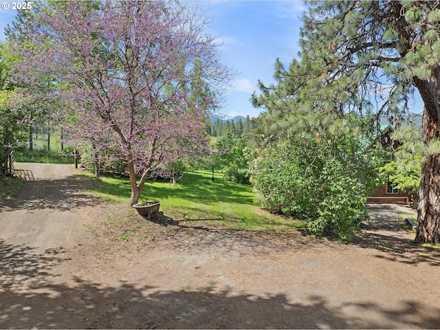 35912 Valley View Ln, Halfway, OR 97834 - view of green lawn