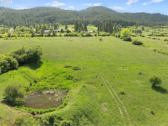 35912 Valley View Ln, Halfway, OR 97834 - bird's eye view of a heavily wooded area and a mountainous background