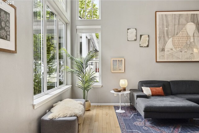 living area featuring wood-type flooring, baseboards, and a healthy amount of sunlight