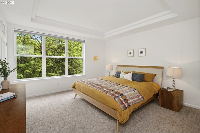 carpeted bedroom featuring baseboards and a tray ceiling