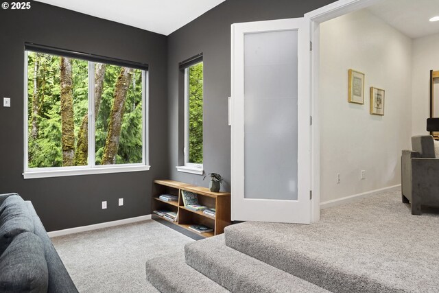 carpeted living area with baseboards