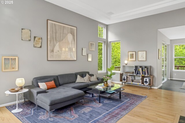 living room with baseboards and wood finished floors