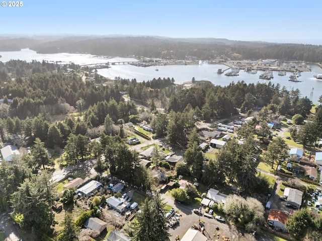 birds eye view of property with a water view and a forest view