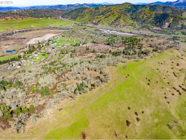 bird's eye view with a mountain view