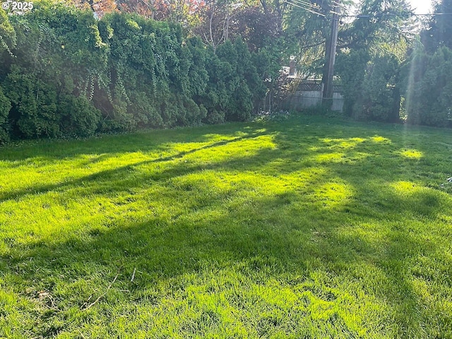 view of yard