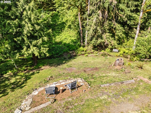 225 N Dubois Rd, Ariel, WA 98603 - view of yard
