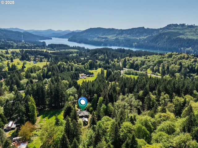 225 N Dubois Rd, Ariel, WA 98603 - drone / aerial view of a forest and a water and mountain view