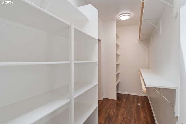 1225 NE 3rd Ave, Hillsboro, OR 97124 - walk in closet with dark wood-style flooring