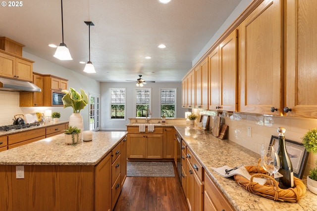 1225 NE 3rd Ave, Hillsboro, OR 97124 - kitchen with appliances with stainless steel finishes, under cabinet range hood, dark wood-type flooring, recessed lighting, and a peninsula