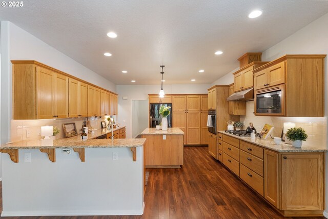 1225 NE 3rd Ave, Hillsboro, OR 97124 - kitchen with appliances with stainless steel finishes, under cabinet range hood, a peninsula, dark wood-style floors, and light stone counters
