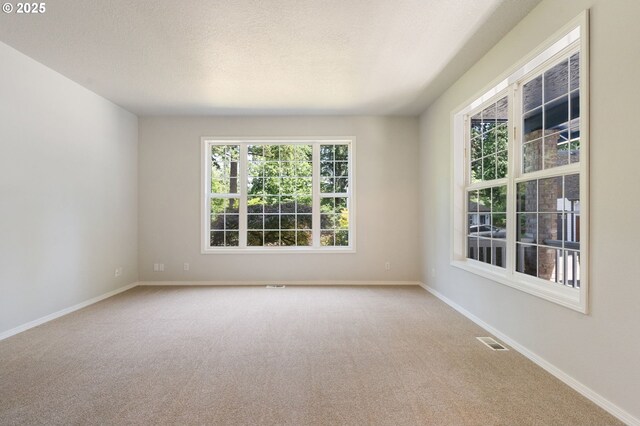 1225 NE 3rd Ave, Hillsboro, OR 97124 - carpeted spare room with baseboards and a textured ceiling
