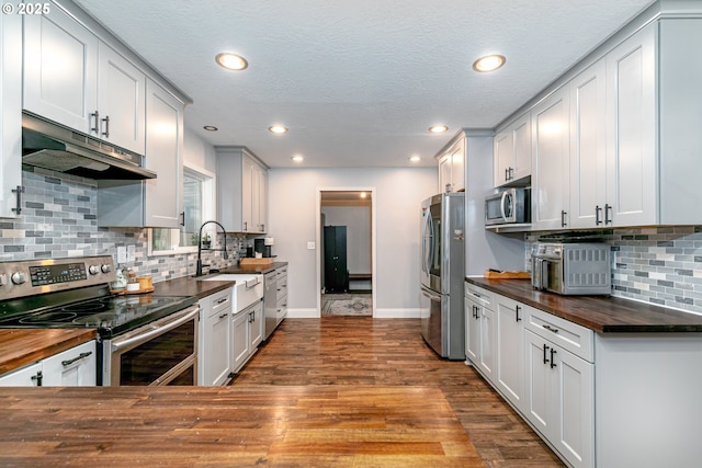 kitchen featuring butcher block countertops, a sink, appliances with stainless steel finishes, and under cabinet range hood