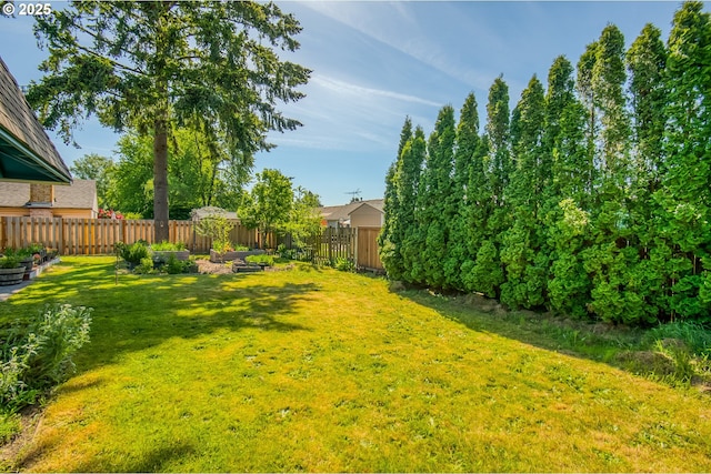 view of yard