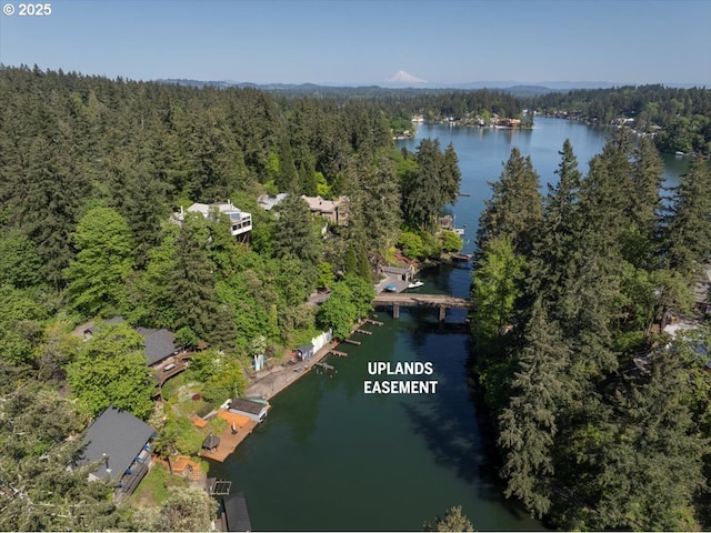 1900 Crest Dr, Lake Oswego, OR 97034 - water view featuring a heavily wooded area