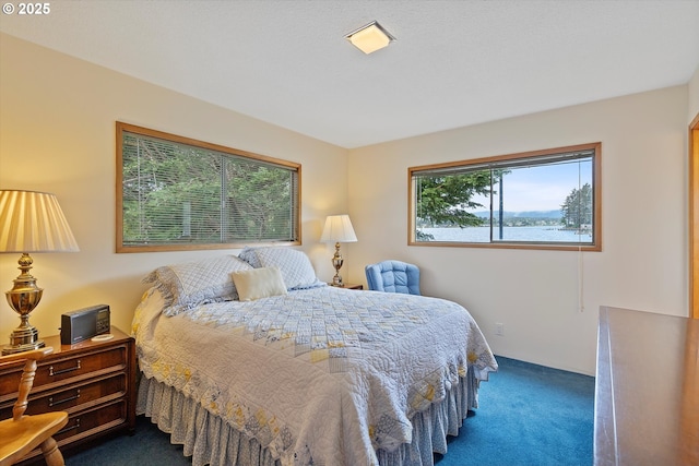 3621 NE 10th St, Otis, OR 97368 - bedroom with dark carpet