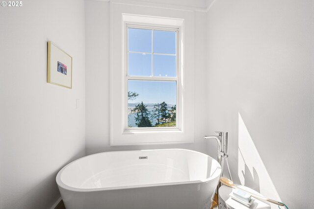 full bath featuring a freestanding tub and a wealth of natural light