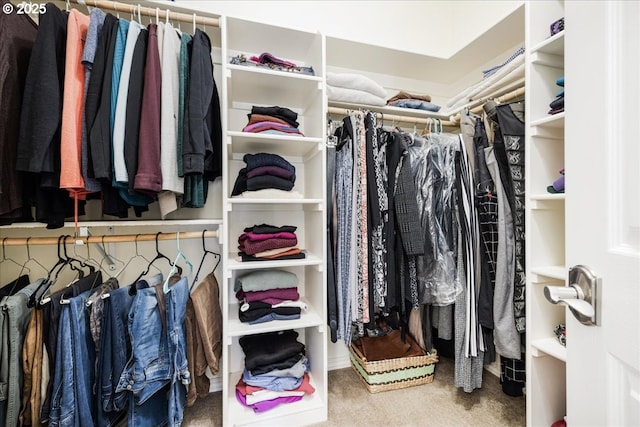 walk in closet featuring carpet flooring