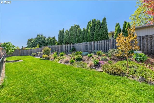 view of yard featuring a fenced backyard