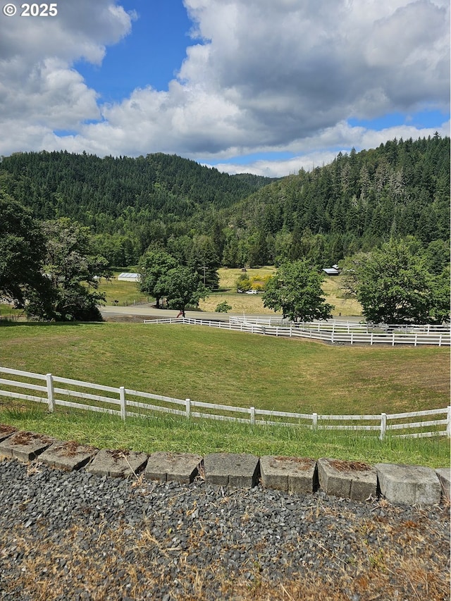 1068 Rice Creek Rd, Winston, OR 97496 - view of mountain backdrop featuring a forest, rural landscape, and agricultural land