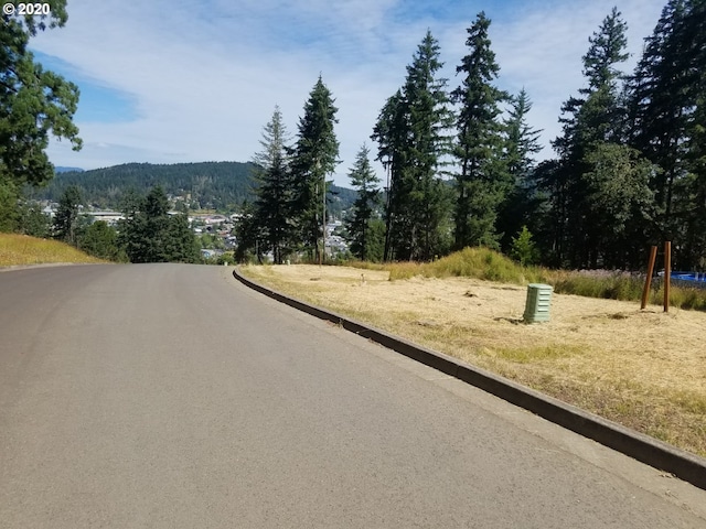 Listing photo 3 for Mountain View Dr, Sutherlin OR 97479