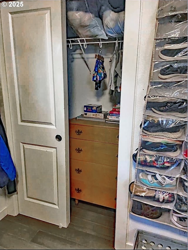 view of closet