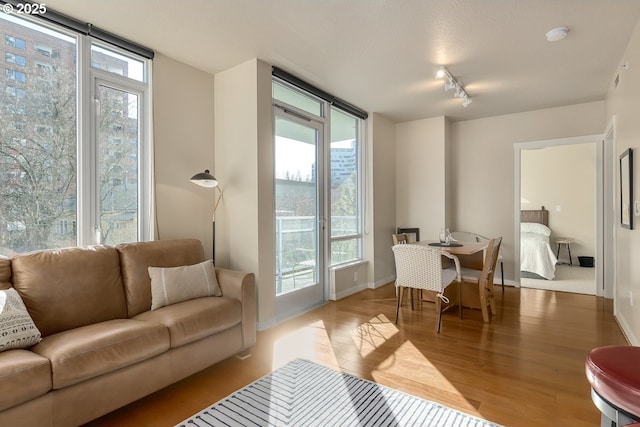 living room with hardwood / wood-style flooring, track lighting, and floor to ceiling windows