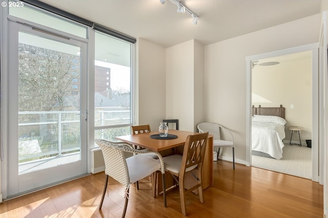 dining room with wood-type flooring, a healthy amount of sunlight, and track lighting