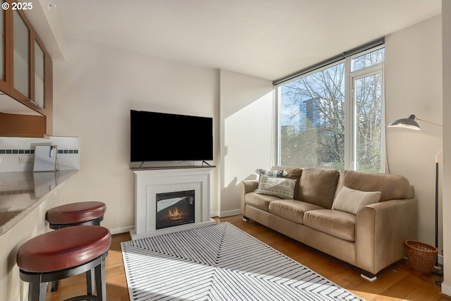 living room featuring light wood-type flooring