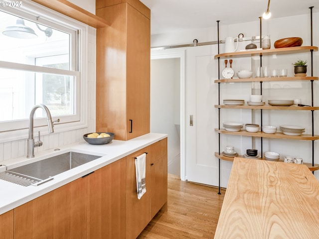 3556 NE Alberta Ct, Portland, OR 97211 - kitchen with a sink, open shelves, light wood-type flooring, light countertops, and modern cabinets