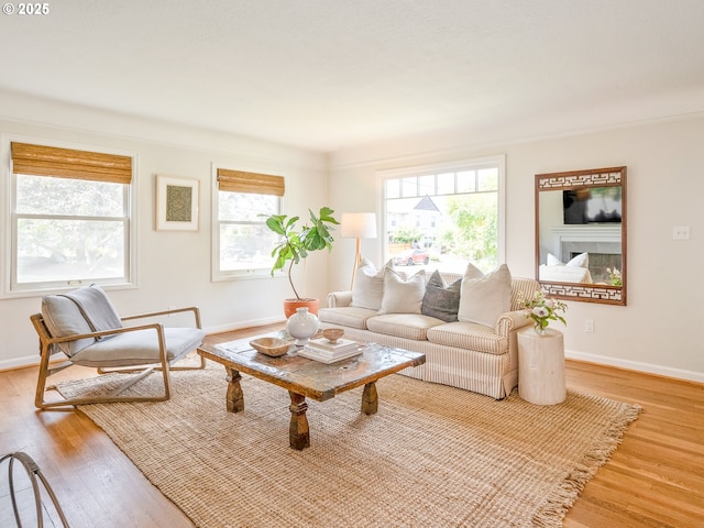 3556 NE Alberta Ct, Portland, OR 97211 - living area featuring wood finished floors and baseboards