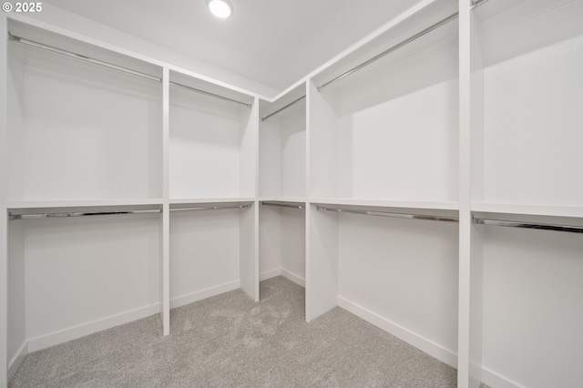 143 W 20th Way, La Center, WA 98629 - walk in closet with carpet flooring