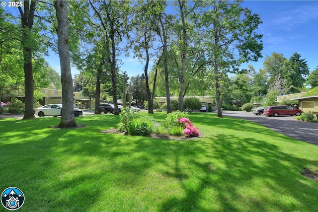1438 Quaker St, Eugene, OR 97402 - view of grassy yard