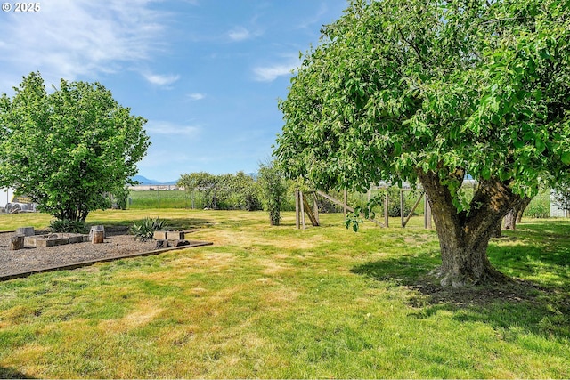 4750 SW 3rd St, Corvallis, OR 97333 - view of grassy yard