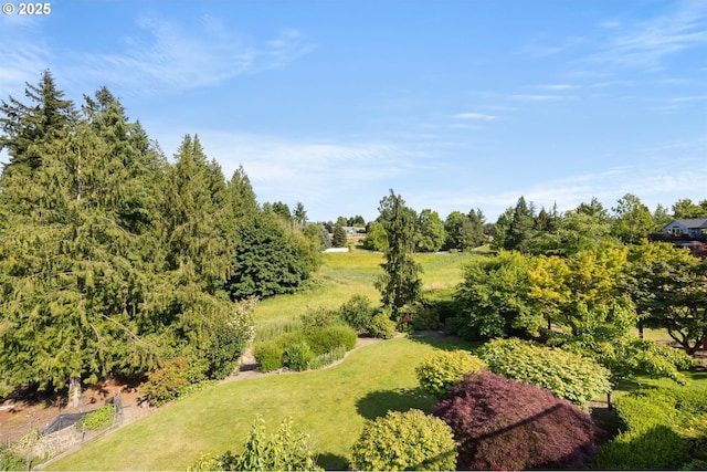 2130 S 26th Ave, Ridgefield, WA 98642 - view of green lawn