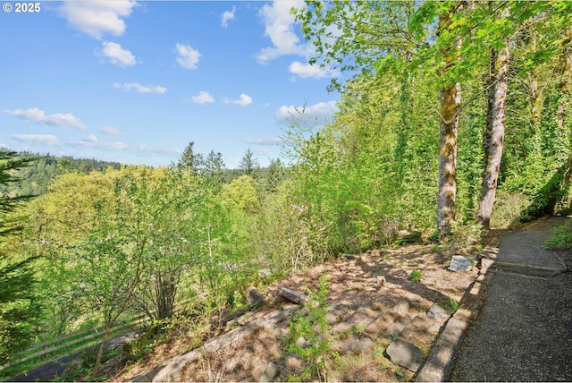 15564 S Neibur Rd, Oregon City, OR 97045 - view of nature with a forest view