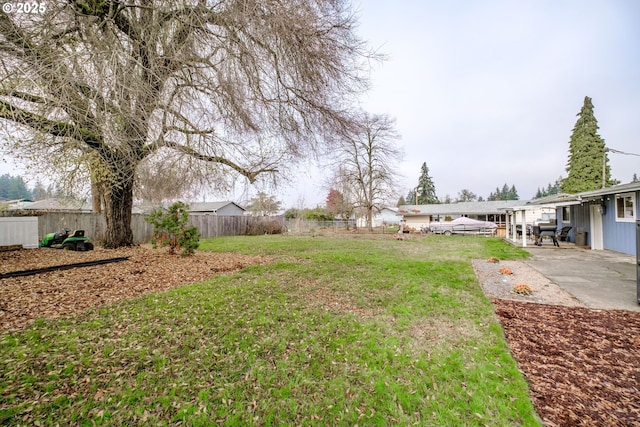 view of yard featuring a patio area