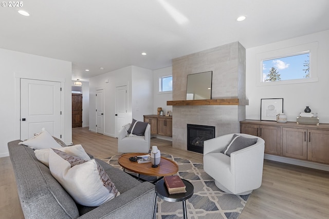 living room featuring a fireplace and light hardwood / wood-style flooring