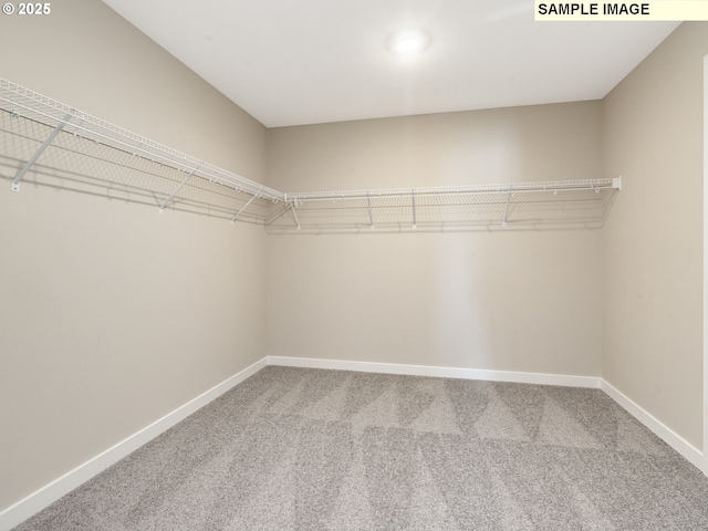 spacious closet with carpet