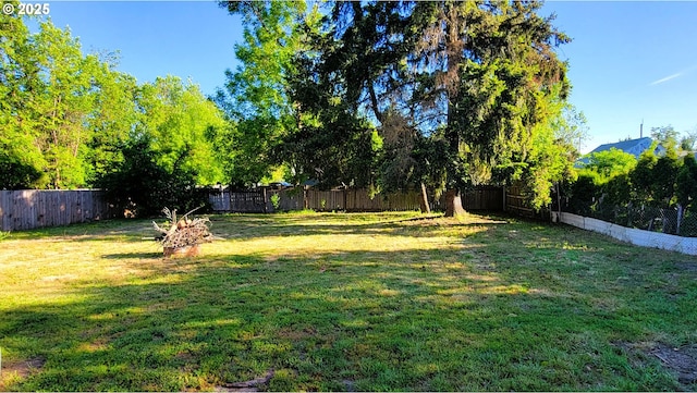 view of yard featuring a fenced backyard