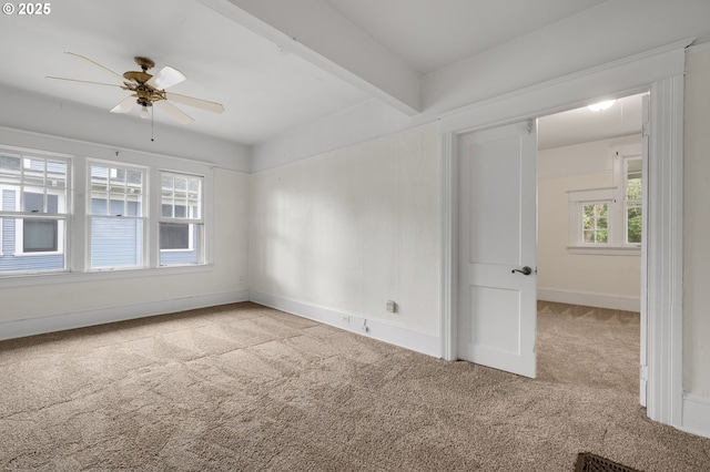 unfurnished room featuring baseboards, beam ceiling, ceiling fan, and carpet