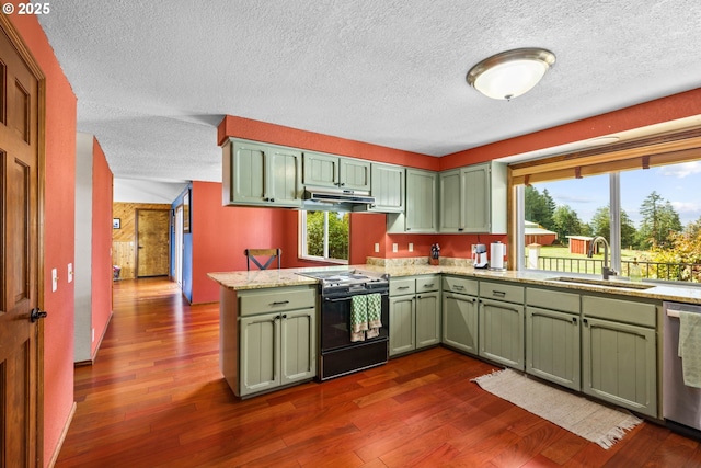 kitchen featuring black stove, green cabinetry, a sink, stainless steel dishwasher, and a peninsula