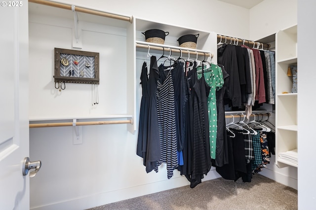 spacious closet with carpet