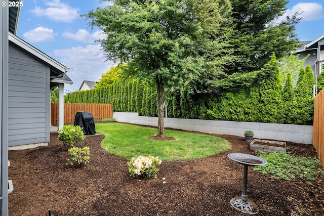 view of yard