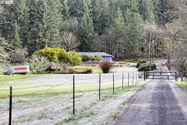 view of street with a rural view