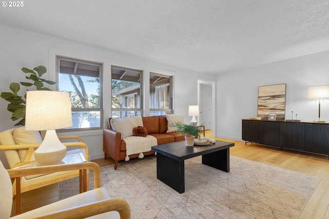 living room featuring a textured ceiling and light hardwood / wood-style flooring