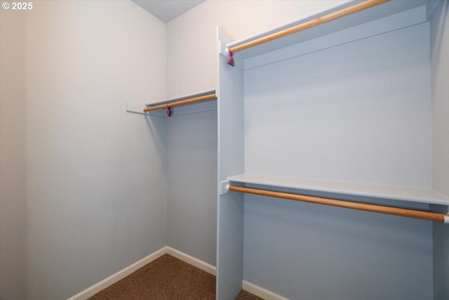 spacious closet with carpet floors